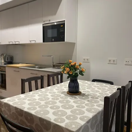 Modern Bilbao Apartment Barakaldo